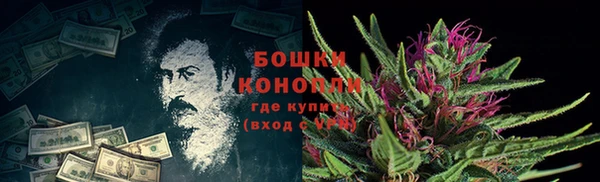 гидропоника Каменногорск